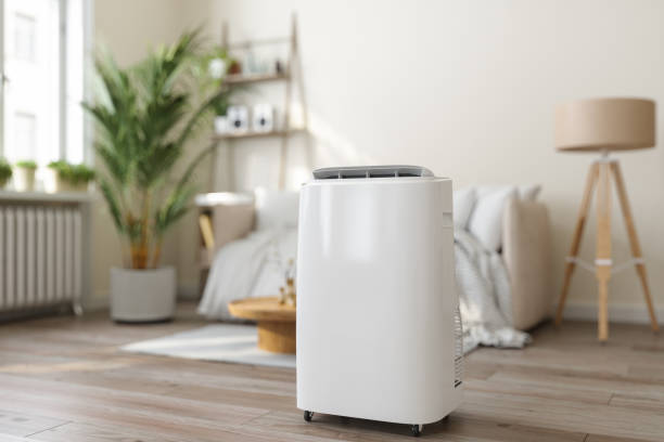 Best Air Filters and Purifiers in Leesville, LA
